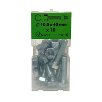 Boite 10 vis 10 x 40mm tête hexagonale + écrou classe 8.8 zingué - Viswood