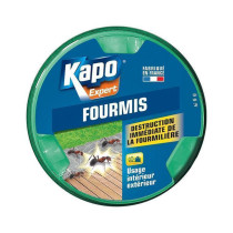 Boite descrution fourmillière Kapo Expert 10g