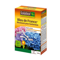 Bleu de France hortensias Solabiol 500g