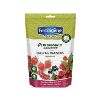 Engrais fraisiers & petits fruits Fertiligène 700g