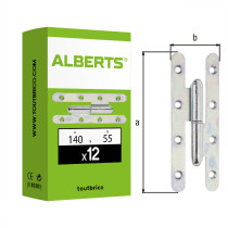 Boite 12 paumelles universelles Paris gauche 140 x 55 x 3mm zingué - Alberts