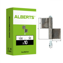 Boite 10 paumelles longue à souder 100 x 30mm Ø9 - Alberts
