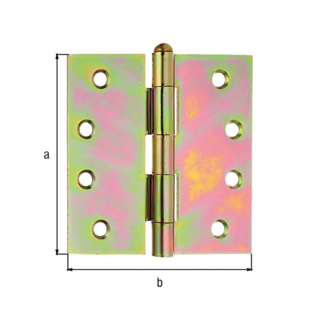 Charnière avec rivet 100 x 100 x 2,5mm - Alberts