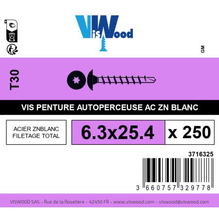 Boite 250 vis de penture autoperceuse 6.3 x 25.4mm tête ronde large torx acier zingué blanc - Viswood