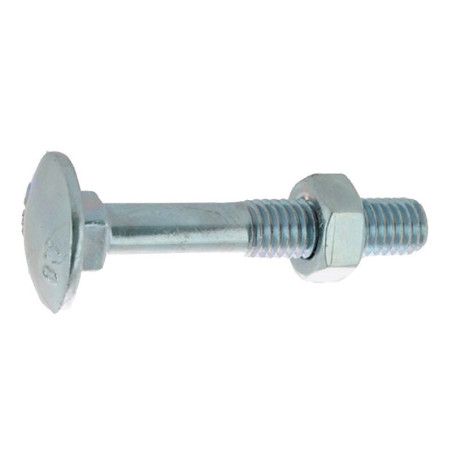 Boulon TRCC 20 x 100mm tête ronde large acier Galvanisé à l'unité - Viswood