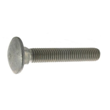 Vis TRCC 8 x 40mm tête ronde large inox A2 à l'unité - Viswood