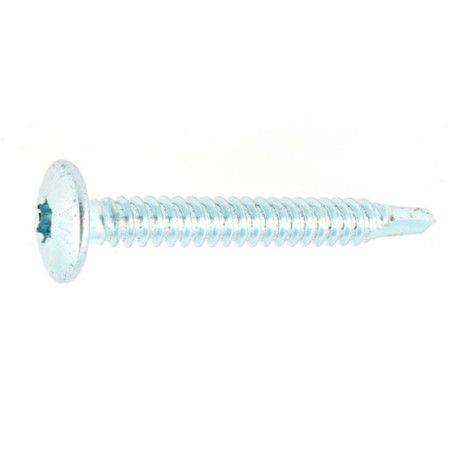 Vis de penture autoperceuse 4,8 x 38mm tête ronde large torx acier zingué blanc à l'unité - Viswood