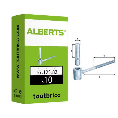 Boite 10 gonds à visser scellement chimique Ø16 x 125mm - Alberts