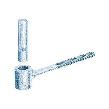 Boite 10 gonds à visser scellement chimique Ø16 x 125mm - Alberts