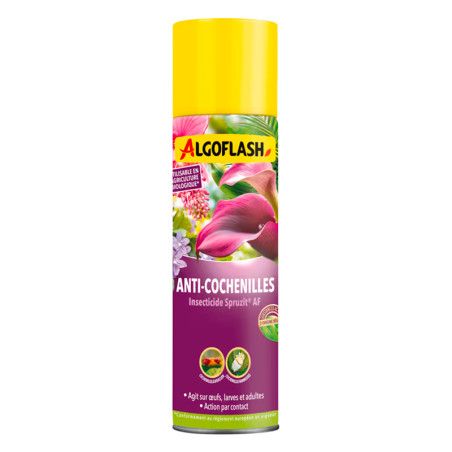Aérosol anti-cochenilles plantes intérieures Algoflash 200ml