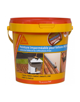 Peinture pour façades et toitures - Haute résistance | Tout Brico