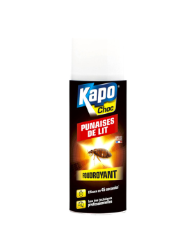 Produits anti punaises de lit, cafards et blattes | Tout Brico