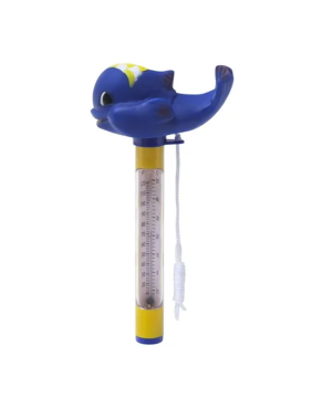 Thermomètres pour piscine | Tout Brico